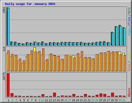 Daily usage for January 2021