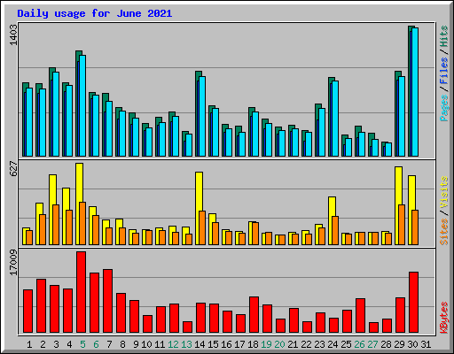 Daily usage for June 2021