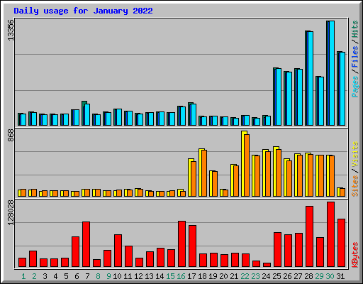 Daily usage for January 2022