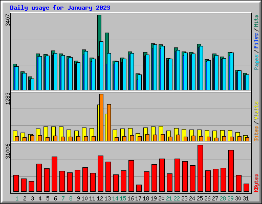 Daily usage for January 2023