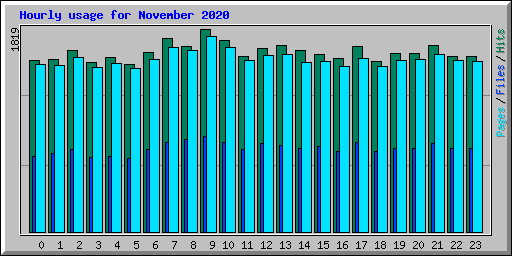 Hourly usage for November 2020