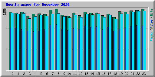 Hourly usage for December 2020