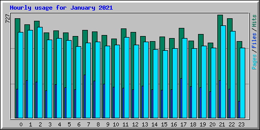 Hourly usage for January 2021