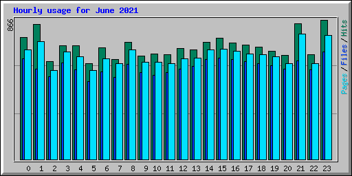 Hourly usage for June 2021