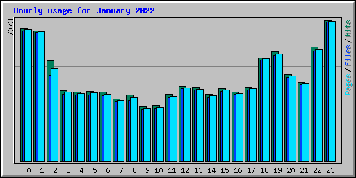 Hourly usage for January 2022