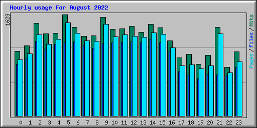 Hourly usage for August 2022