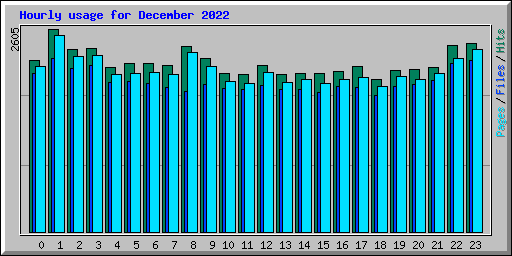 Hourly usage for December 2022