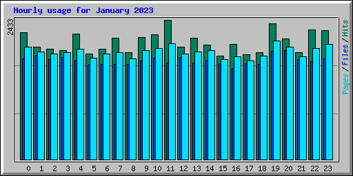 Hourly usage for January 2023