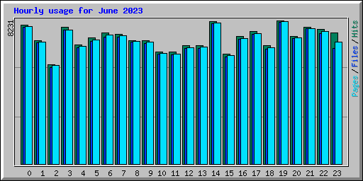 Hourly usage for June 2023