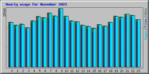 Hourly usage for November 2023