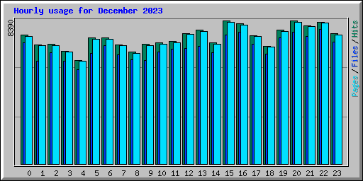 Hourly usage for December 2023