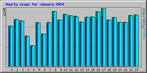 Hourly usage for January 2024