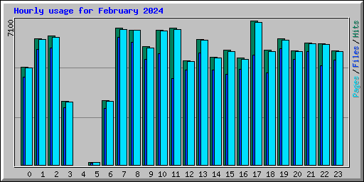 Hourly usage for February 2024