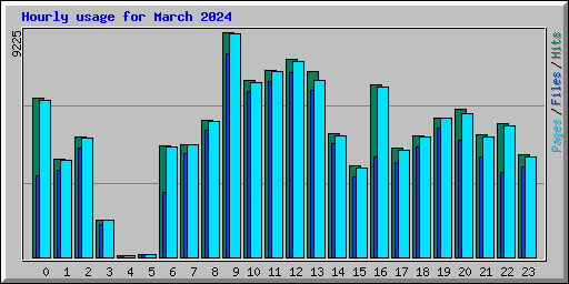 Hourly usage for March 2024