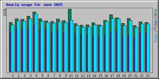 Hourly usage for June 2025