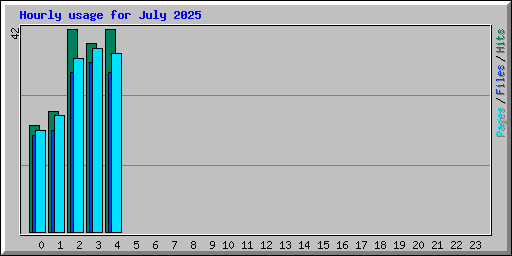 Hourly usage for July 2025