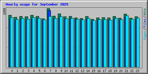 Hourly usage for September 2025