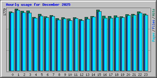 Hourly usage for December 2025