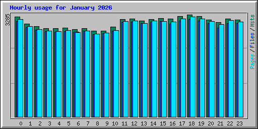 Hourly usage for January 2026